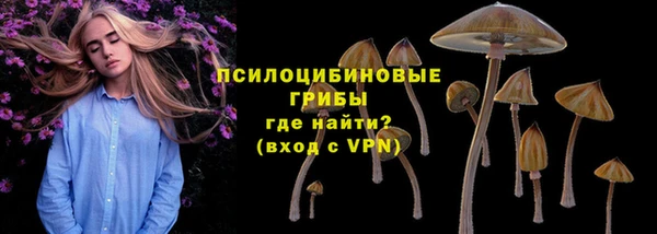 каннабис Арсеньев