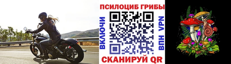 Галлюциногенные грибы Psilocybe  Лаишево 